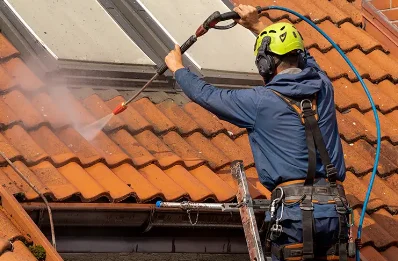 Démoussage et hydrofuge de toiture à Molandier